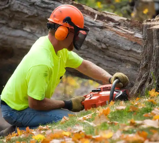 tree services Westbrook